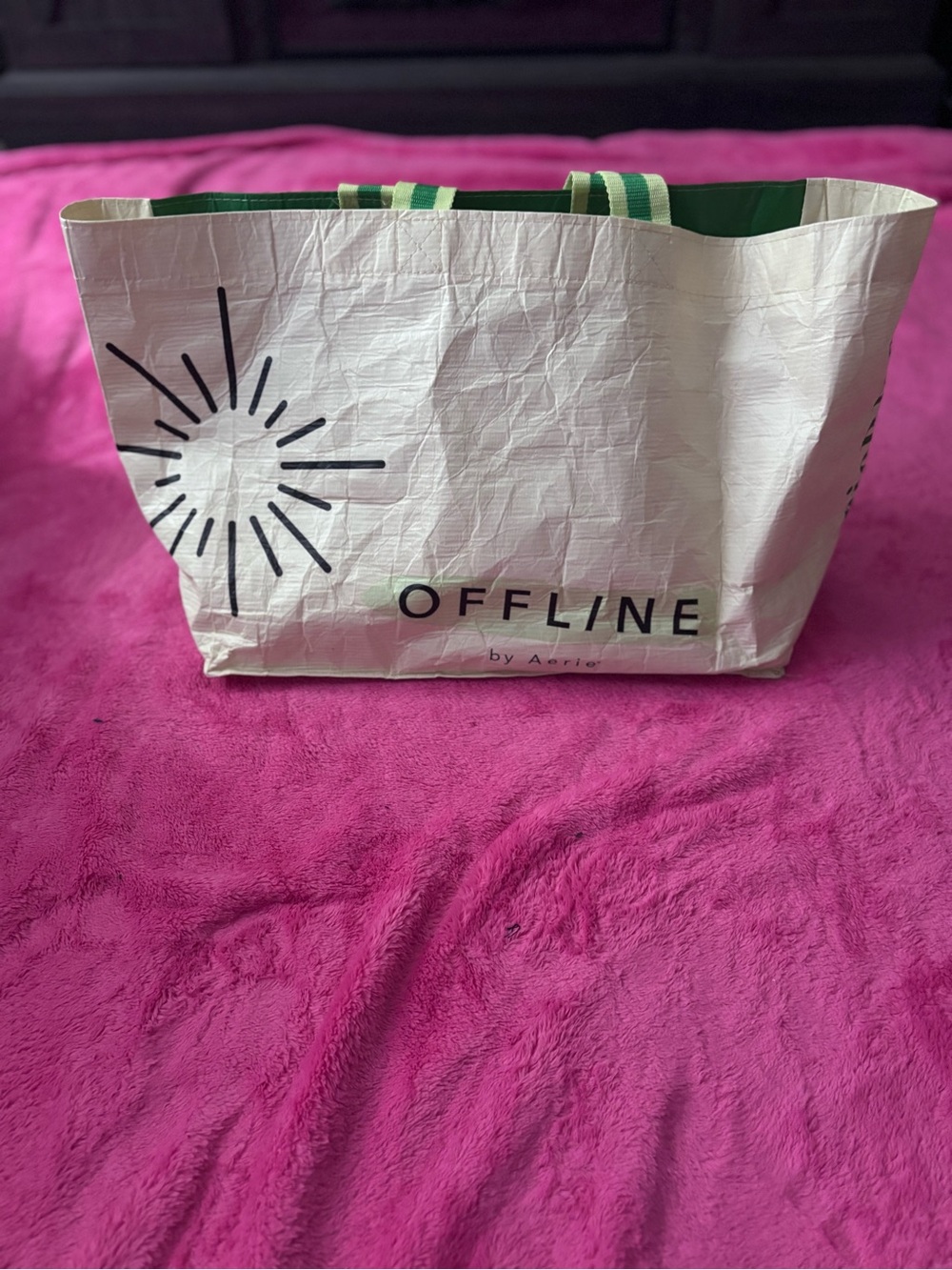 aerie OFFLINE Tote Bag in White with Green Interior and Striped Handles